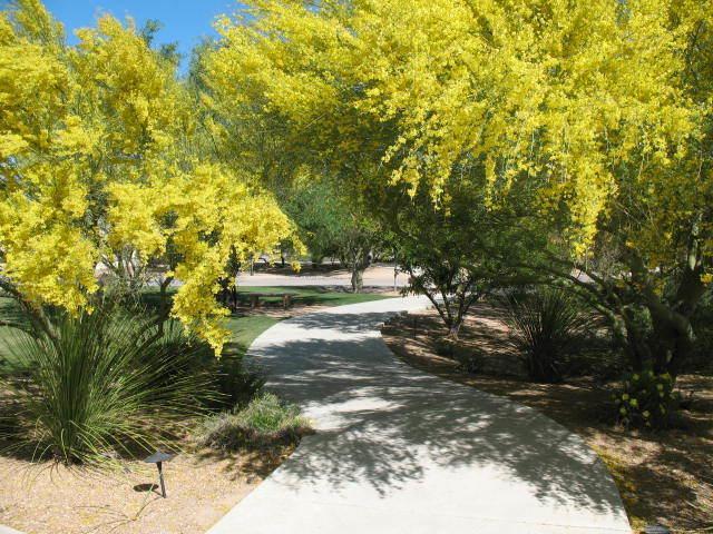 Desert Sol Bed & Breakfast Tucson Bagian luar foto