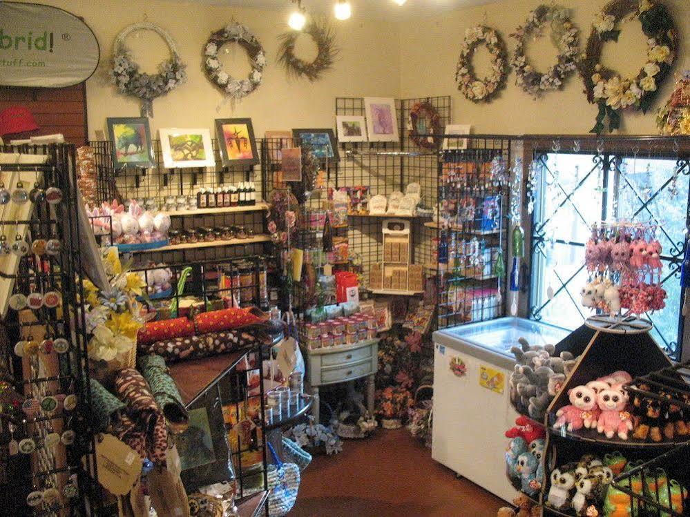 Desert Sol Bed & Breakfast Tucson Bagian luar foto